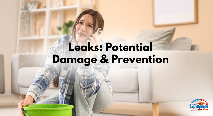 Leaks: Potential Damage & Prevention